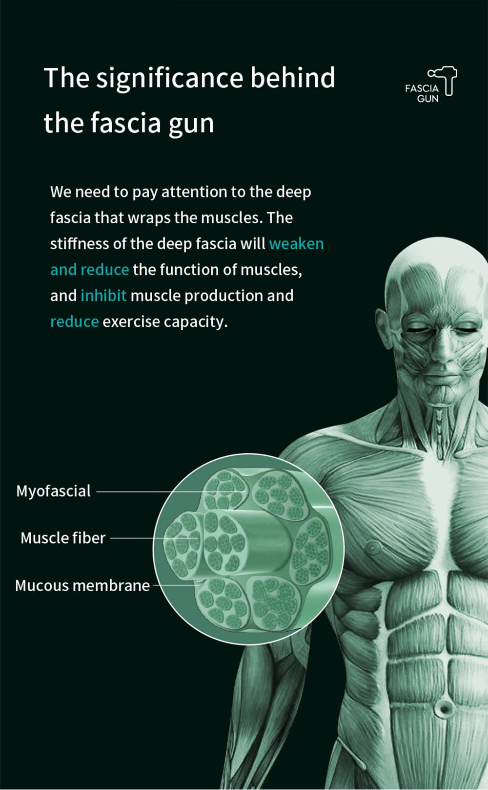 Pro Recovery Massage Gun™